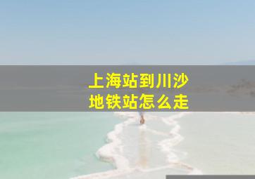 上海站到川沙地铁站怎么走