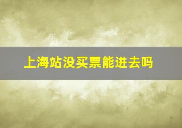 上海站没买票能进去吗