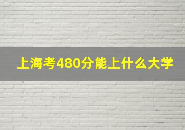 上海考480分能上什么大学