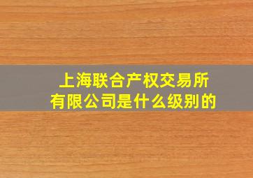 上海联合产权交易所有限公司是什么级别的