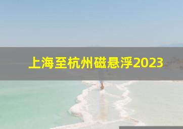 上海至杭州磁悬浮2023