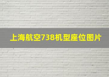 上海航空738机型座位图片