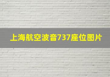 上海航空波音737座位图片