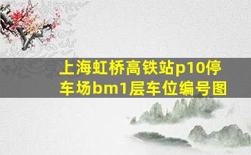 上海虹桥高铁站p10停车场bm1层车位编号图