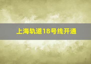 上海轨道18号线开通