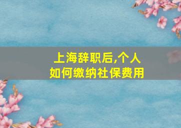 上海辞职后,个人如何缴纳社保费用