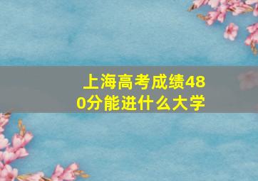 上海高考成绩480分能进什么大学