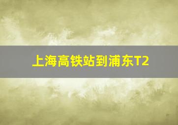 上海高铁站到浦东T2