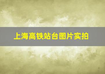 上海高铁站台图片实拍