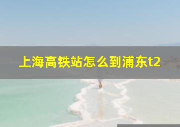 上海高铁站怎么到浦东t2