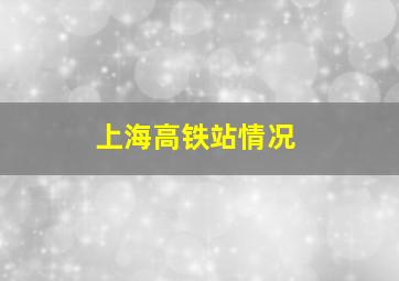 上海高铁站情况