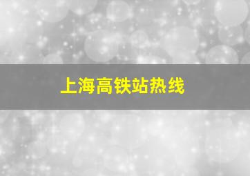 上海高铁站热线