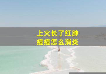 上火长了红肿痘痘怎么消炎