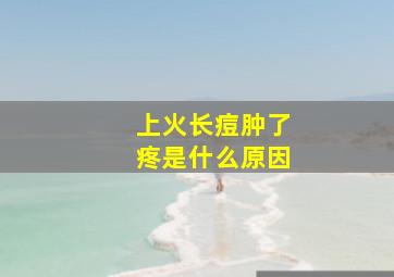 上火长痘肿了疼是什么原因