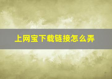 上网宝下载链接怎么弄