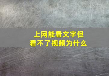 上网能看文字但看不了视频为什么