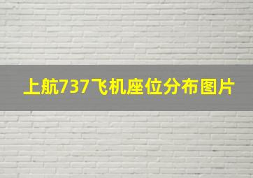 上航737飞机座位分布图片