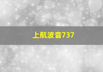 上航波音737