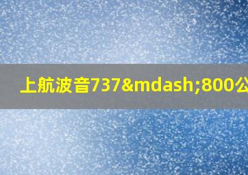 上航波音737—800公务舱