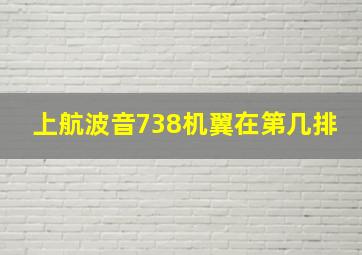 上航波音738机翼在第几排