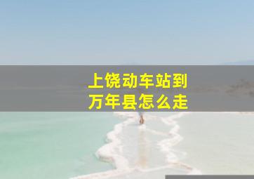 上饶动车站到万年县怎么走