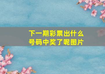 下一期彩票出什么号码中奖了呢图片