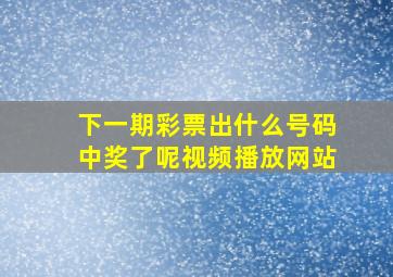 下一期彩票出什么号码中奖了呢视频播放网站