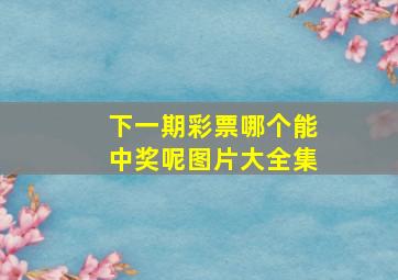 下一期彩票哪个能中奖呢图片大全集