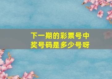 下一期的彩票号中奖号码是多少号呀