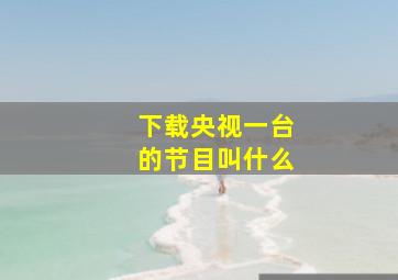 下载央视一台的节目叫什么