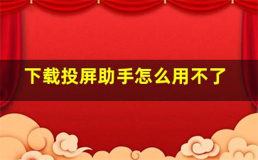 下载投屏助手怎么用不了