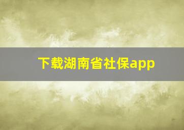 下载湖南省社保app