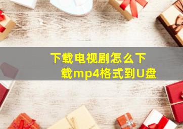 下载电视剧怎么下载mp4格式到U盘