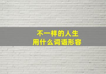 不一样的人生用什么词语形容