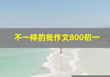 不一样的我作文800初一