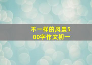 不一样的风景500字作文初一