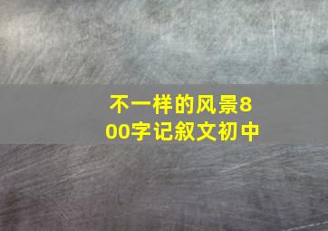 不一样的风景800字记叙文初中