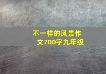 不一样的风景作文700字九年级