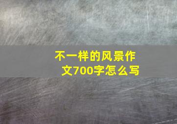 不一样的风景作文700字怎么写