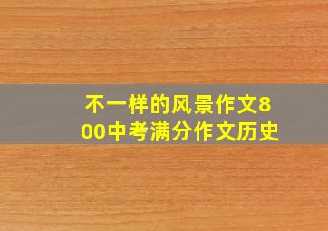 不一样的风景作文800中考满分作文历史