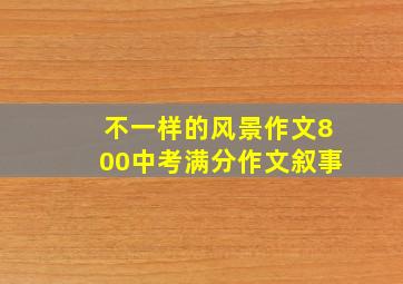 不一样的风景作文800中考满分作文叙事