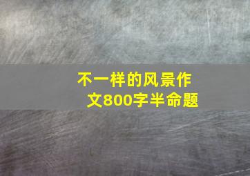 不一样的风景作文800字半命题