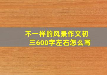 不一样的风景作文初三600字左右怎么写