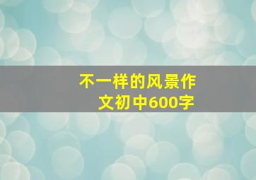 不一样的风景作文初中600字