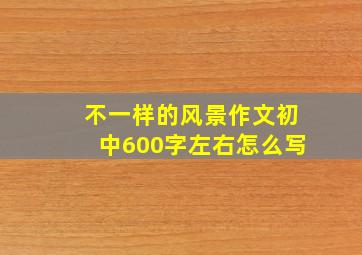 不一样的风景作文初中600字左右怎么写