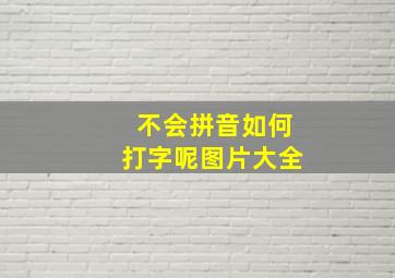 不会拼音如何打字呢图片大全