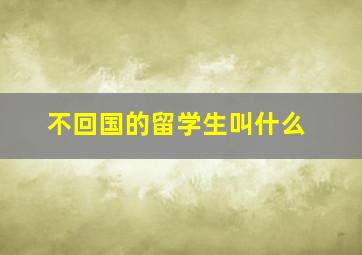 不回国的留学生叫什么