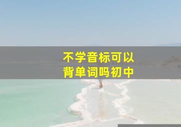 不学音标可以背单词吗初中