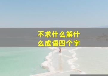 不求什么解什么成语四个字