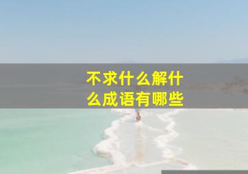 不求什么解什么成语有哪些